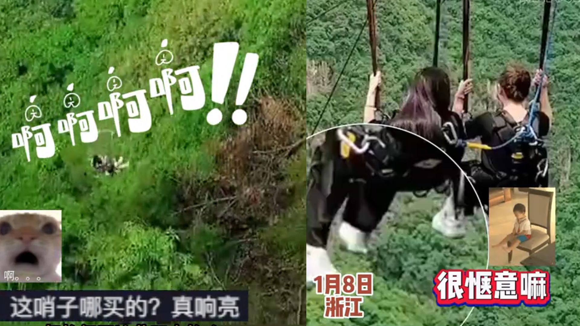 关于高空绳索荡秋千，速度与平衡的极致比拼的信息