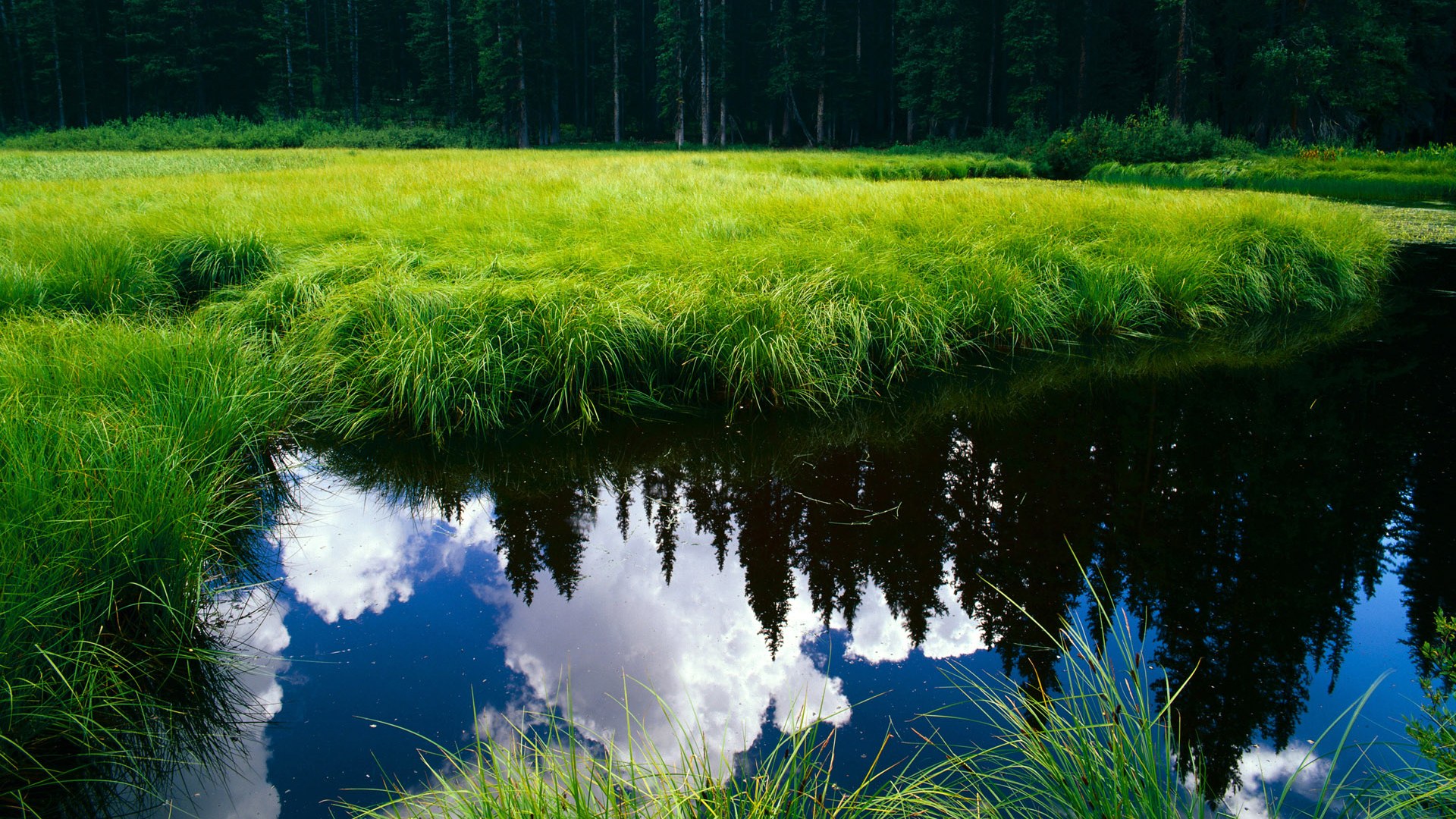 开云娱乐-马刺宣称年轻球员是未来球队建设核心，马刺宣称年轻球员是未来球队建设核心的
