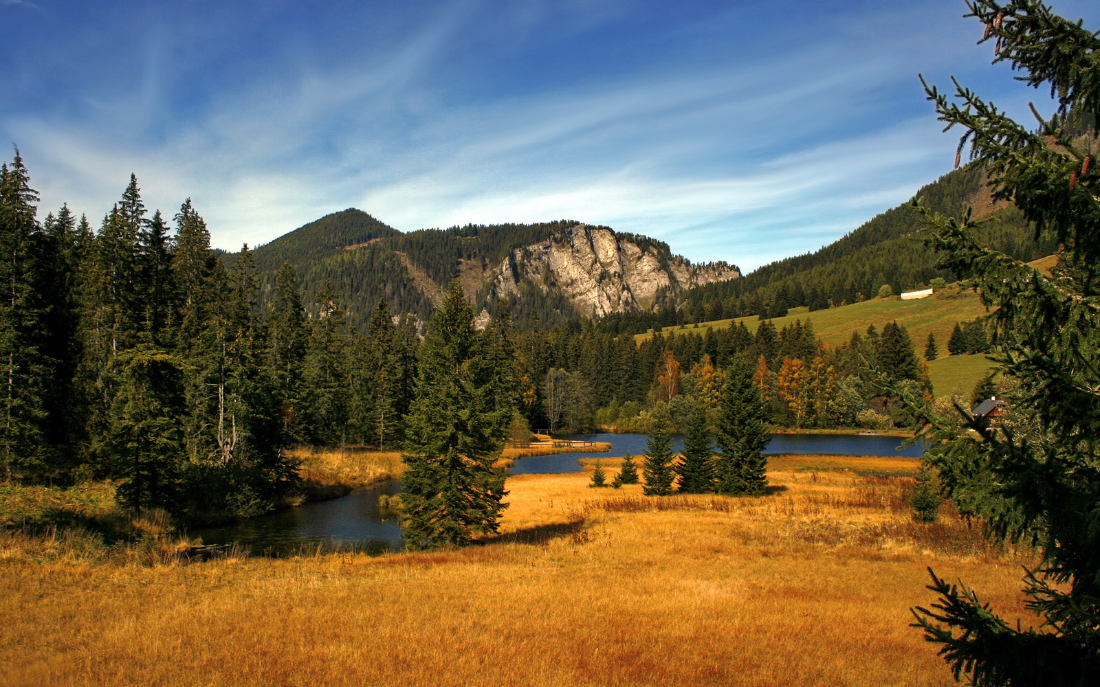 开云官方-高尔的全能型打法为袋鼠队提供多种战术选择，高尔的全能型打法为袋鼠队提供多种战术选择方法