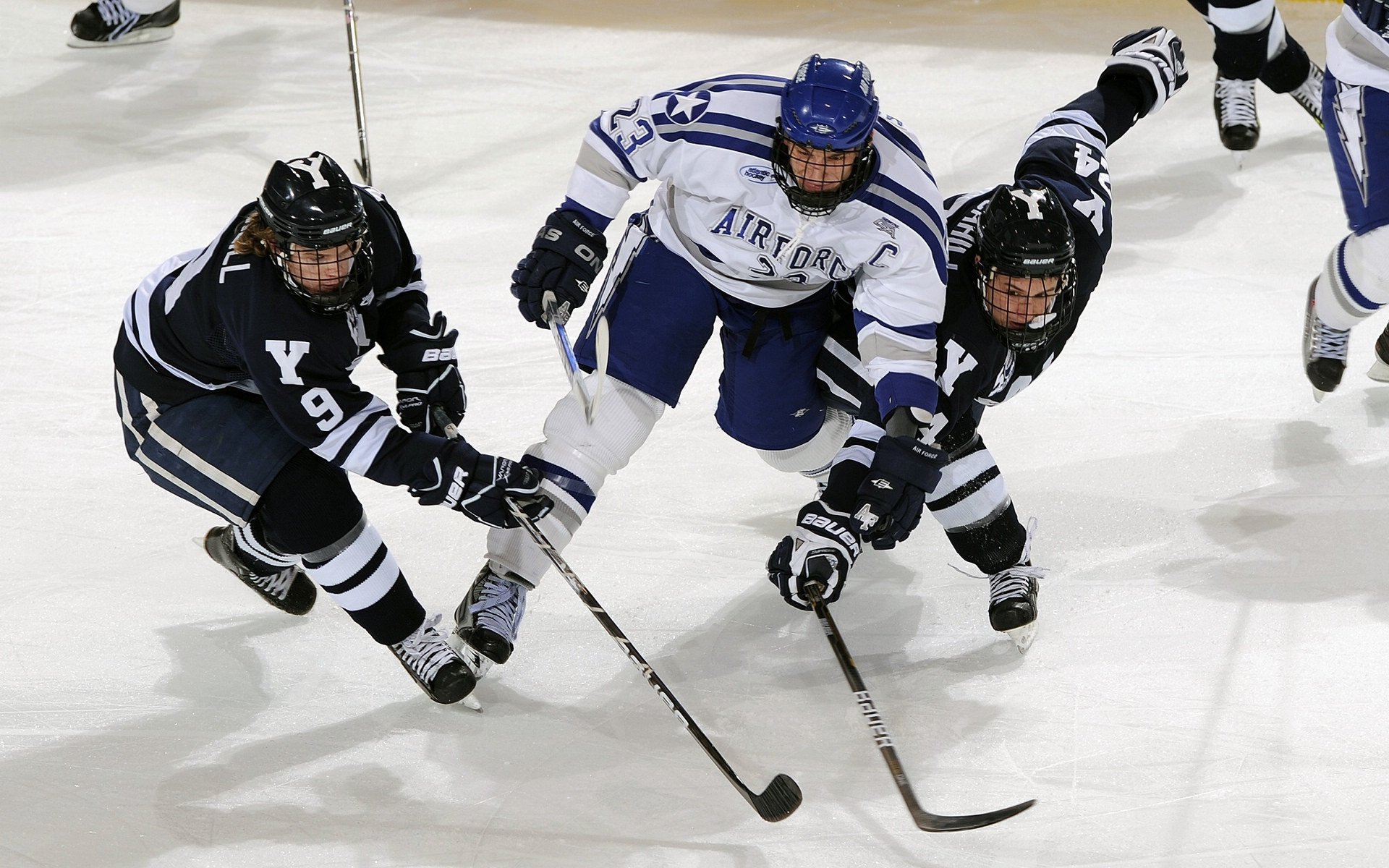 开运app入口-面向未来的数字青训平台在行业内逐步推开，行业智能化大势已成